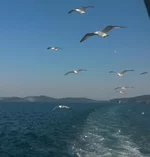 20190531_182202-1.webp