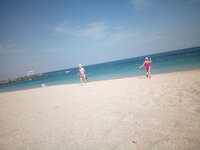 IMG_20200130_125946.jpg