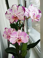 IMG_20200202_125154.webp