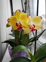 IMG_20200202_124728.webp