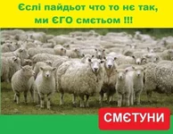 12819050_original.jpg