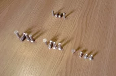 P070220_11.48.webp