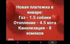 Screenshot_2020-02-05-15-59-53.jpg
