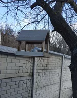 IMG_20200214_134455.jpg