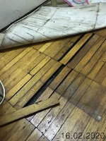 Stamp of IMG-dbe0cf44ff1fc6b34dd622e77577b985-V (1).webp