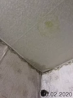 Stamp of IMG-8fe603845a4a4cbb74396949c451c91c-V.webp