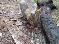 IMG_20190816_102700.webp