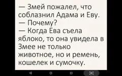 Screenshot_2020-02-21-15-31-07.webp