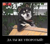 505883.jpg