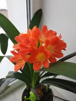 IMG_20200212_133859.webp