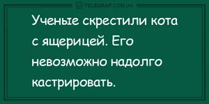 12-2202.webp