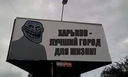 crop.webp