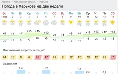 .webp
