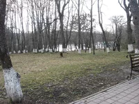 IMG_6951.webp