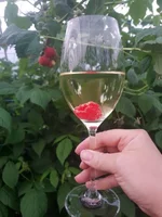  для.webp