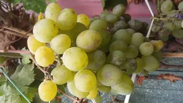 20190916_154704.webp