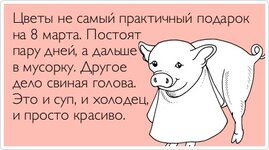 свиня.jpg