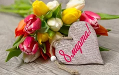 2476203.webp
