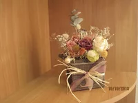127 Эвкалипт.webp