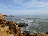 IMG-0387750a78ccbaae7048011f9455e89a-V.webp