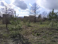 IMG_20200315_135221.webp