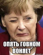8def9c77b9a7.webp