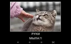Screenshot_2020-03-18-17-17-23.webp