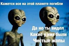89890953_2621980064715380_8491682666733633536_n.webp