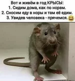 FB_IMG_1585227445442.webp