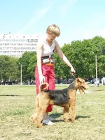 P6120203_новый размер.webp