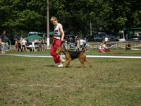 P6120208_новый размер.webp