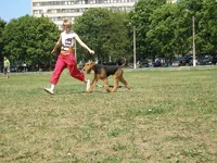 P6120213_новый размер.webp