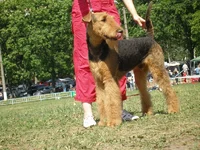 P6120215_новый размер.webp