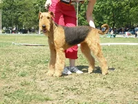P6120220_новый размер.webp