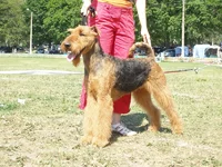 P6120245_новый размер.webp