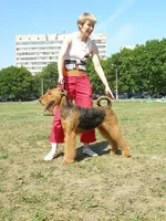 P6120256_новый размер.webp