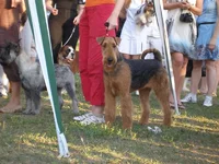 P6120445_новый размер.webp