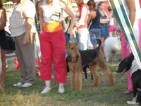 P6120459_новый размер.webp