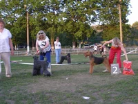P6120509_новый размер.webp