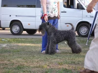 P6120365_новый размер.webp