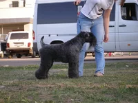 P6120374_новый размер.webp