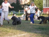 P6120394_новый размер.webp