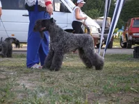 P6120402_новый размер.webp