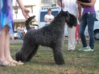 P6120418_новый размер.webp
