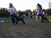 P6120426_новый размер.webp