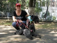P6120325_новый размер.webp