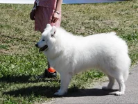 IMG_0552.webp