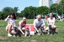 IMG_0590000.webp