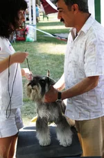 IMG_0561000.webp