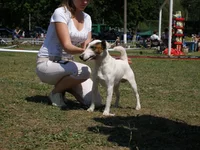 P6120189.webp